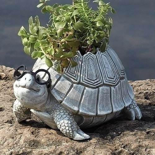 5.7"H Turtle w/Glasses Planter Silly Spectacles