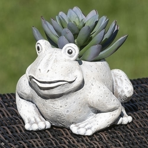 4.25"H Mini Frog Pudgy Planter