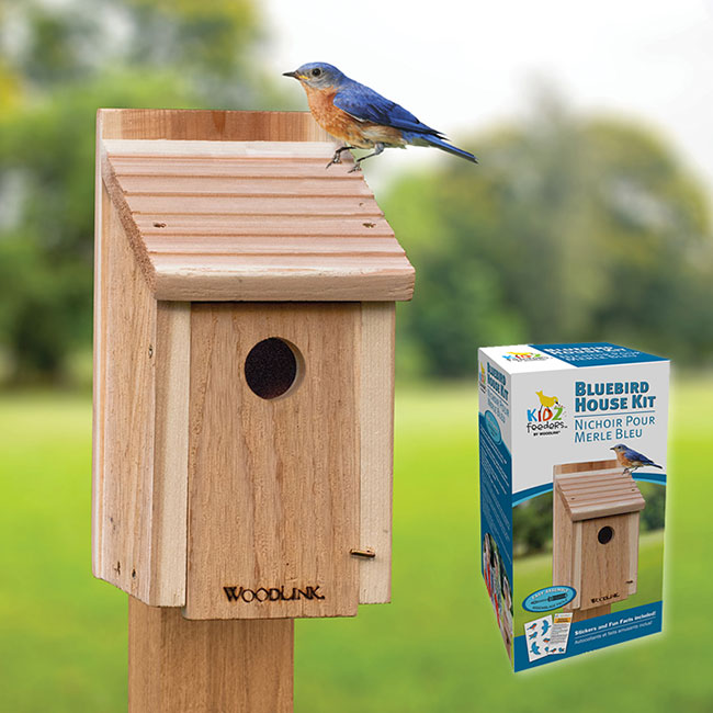 Bluebird House Kit