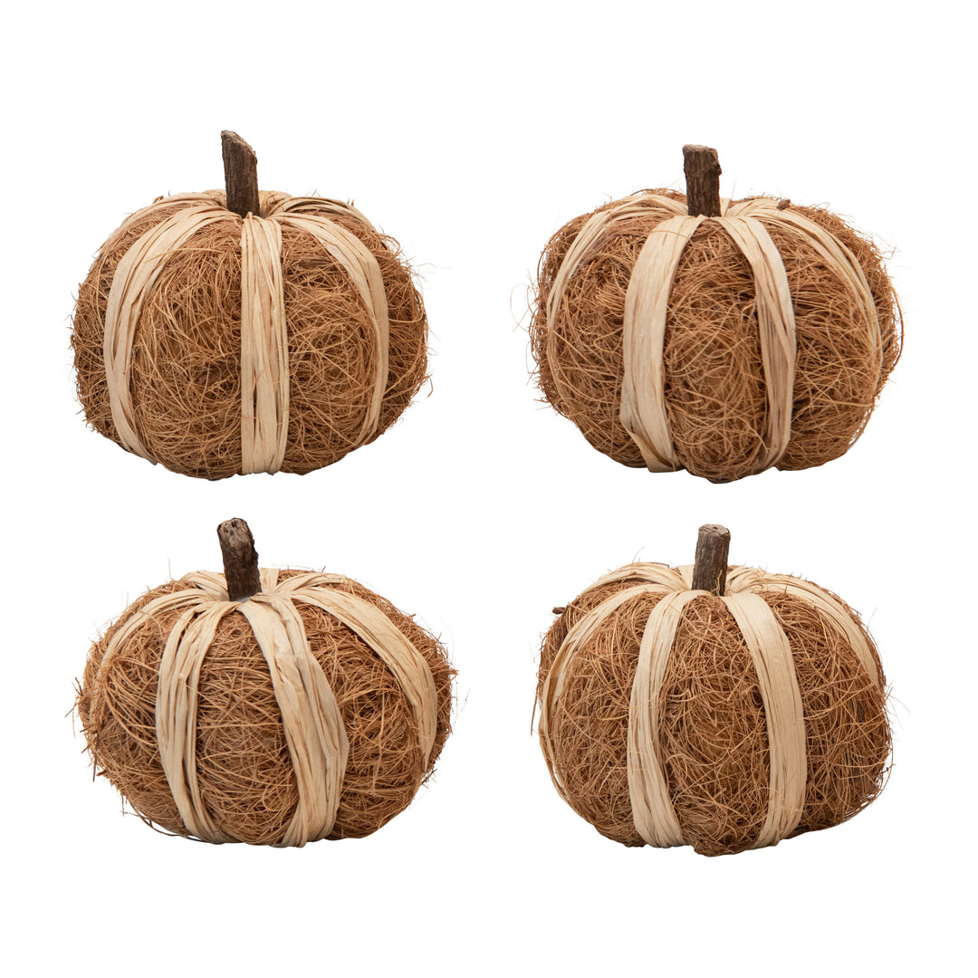 Dried Natural Coco Fiber and Raffia Pumpkin