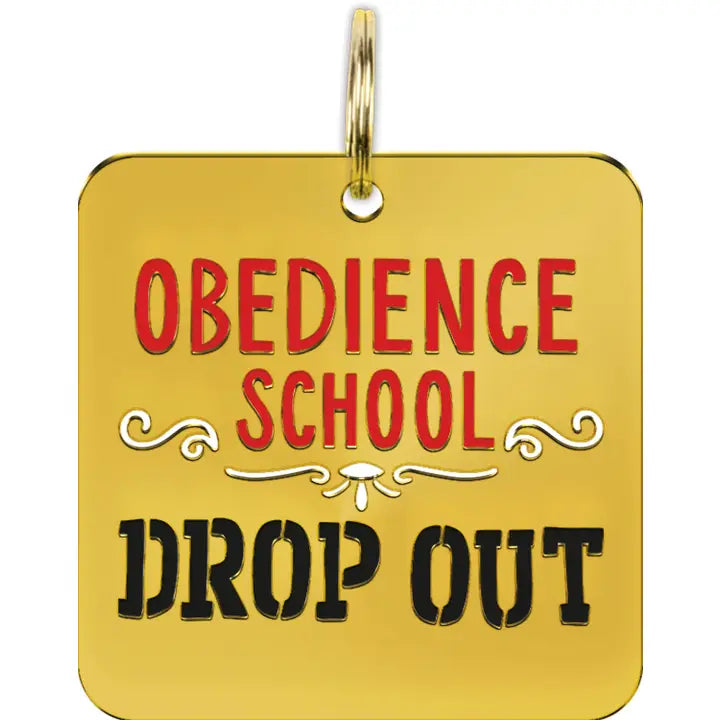 Obedience School Drop Out Collar Charm