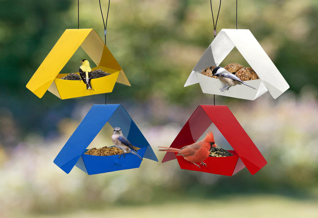 Ritual Fly Through Feeder