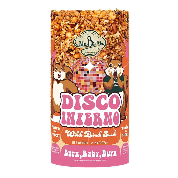 Disco Inferno Small Cylinder