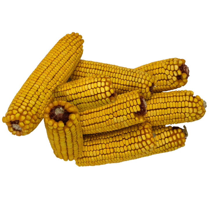 Bird Pro Ear Corn- 14lb