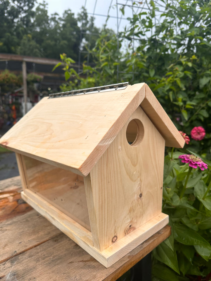 Bluebird Feeder