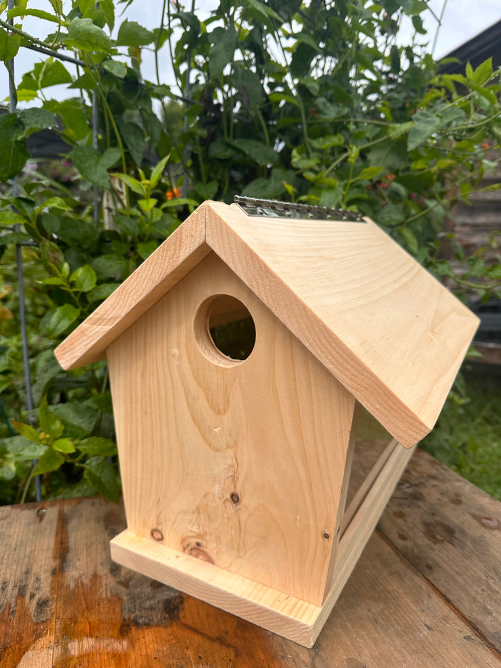 Bluebird Feeder