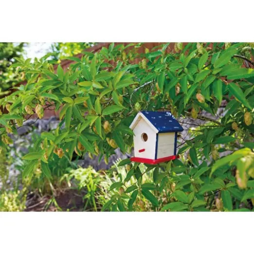 Beetle & Bee Paint A Bird Base, Backyard Birdhouse Kit