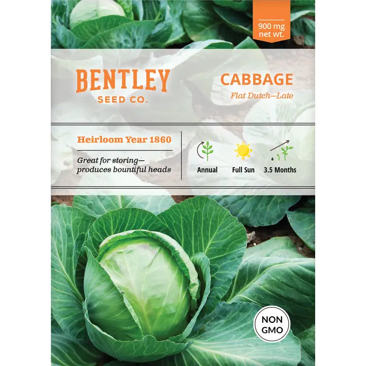 Cabbage-Late Flat Dutch Seed Packet