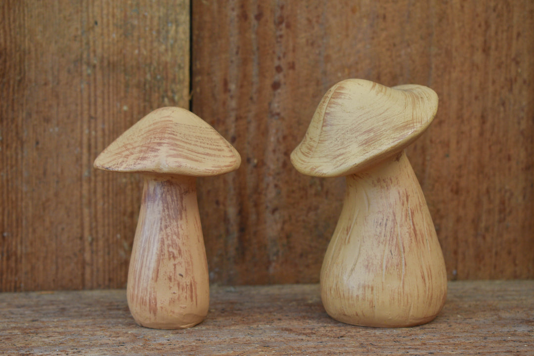 Short Skinny Brown Resin Mushroom