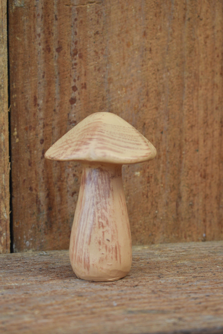 Short Skinny Brown Resin Mushroom