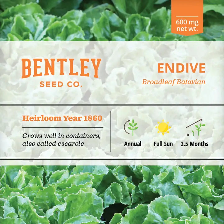 Endive-Broadleaf Batavian Seed Packet