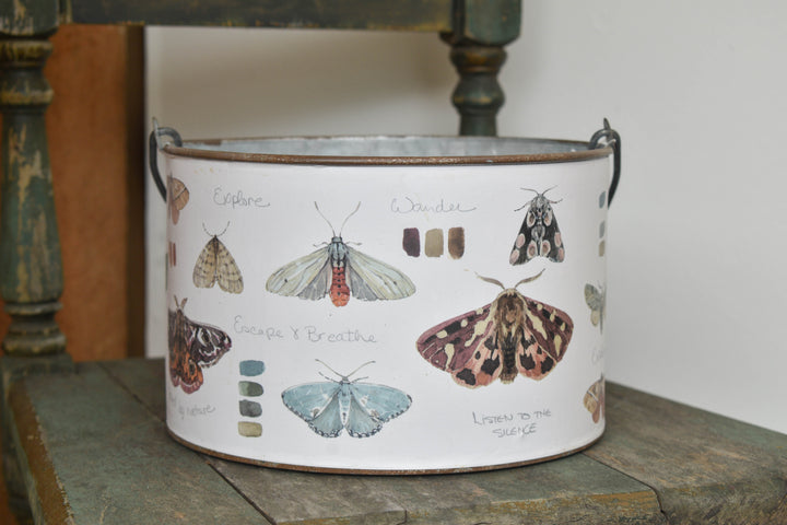 Floral Bucket Moth Study