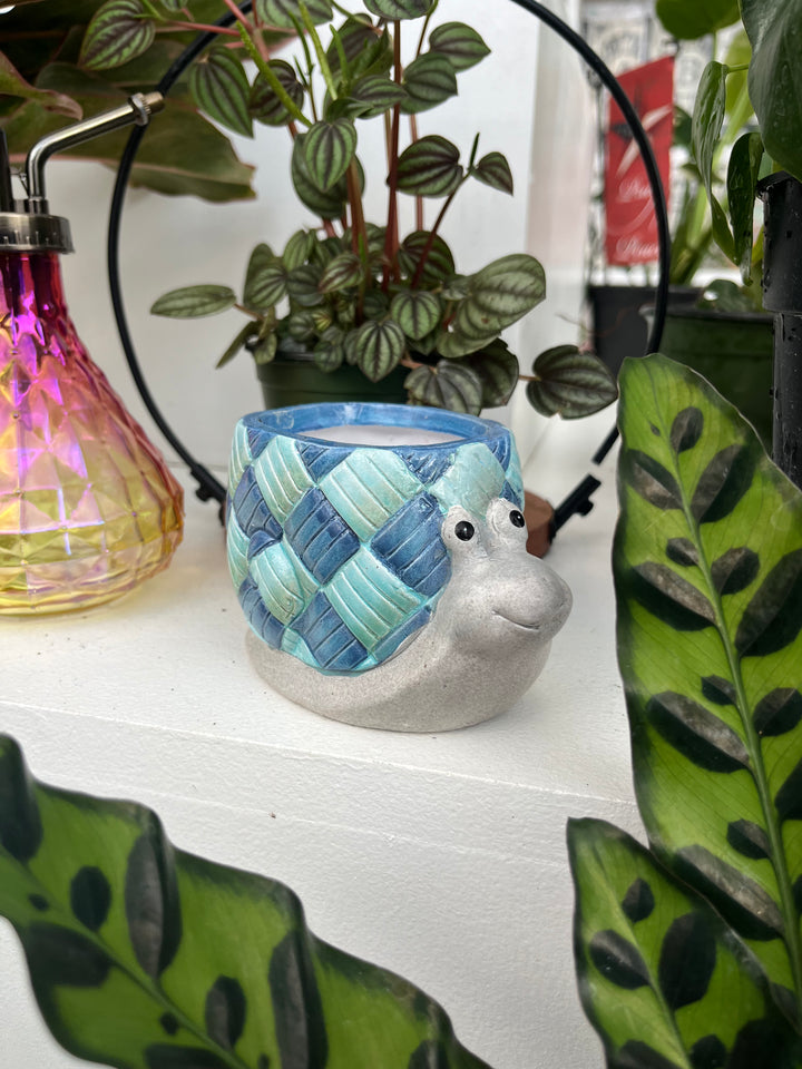 Small Blue Boho Snail Planter