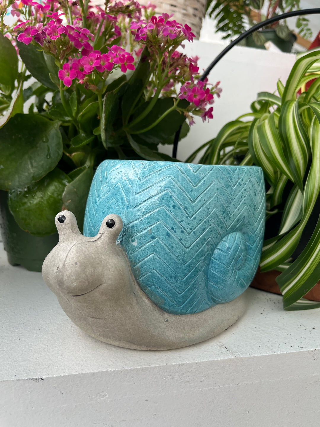 Large Light Blue Snail Planter