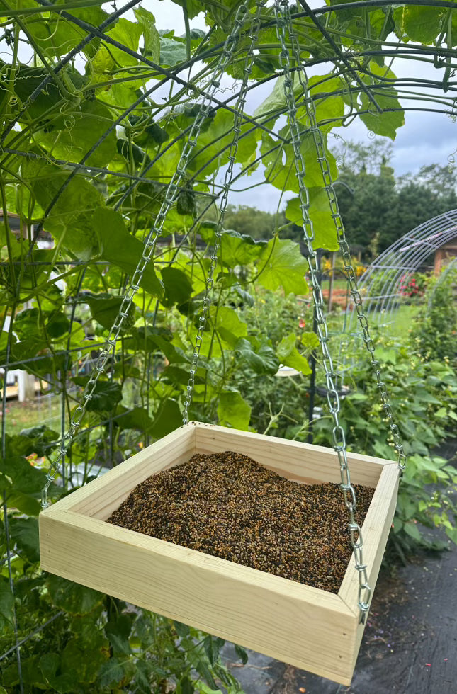 Hanging Bird Feeder Tray