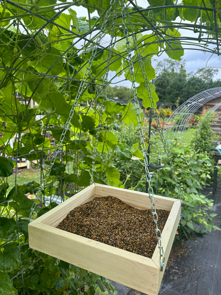 Hanging Bird Feeder Tray