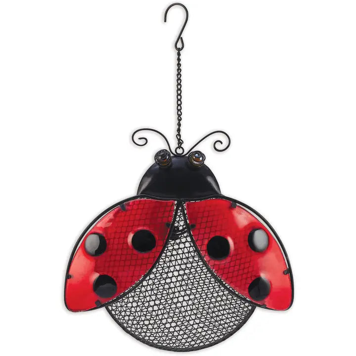 Ladybug Bird Feeder