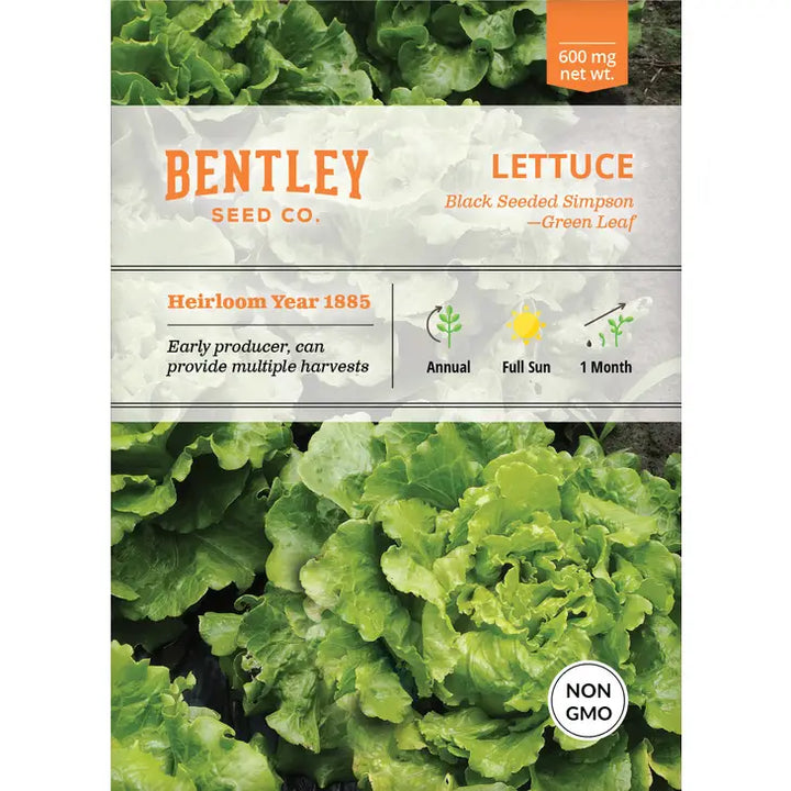 Lettuce, Simpson's Curled Seed Packet