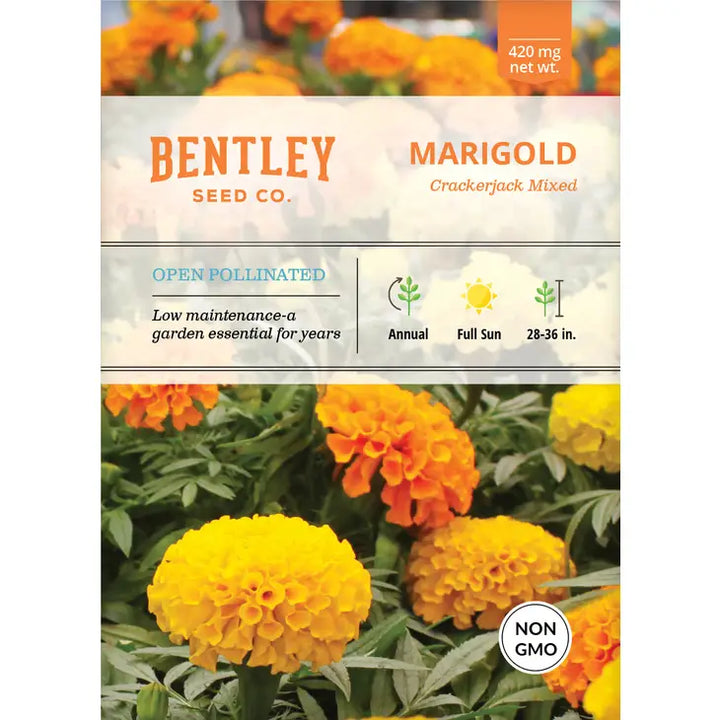 Marigold-Crackerjack Mixed-Tagetes erecta Seed Packet