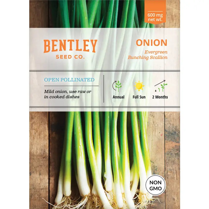 Onion, Evergreen Bunching Seed Packets