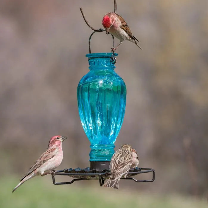 Perky-Pet® Daisy Vase Vintage Glass Bird Waterer