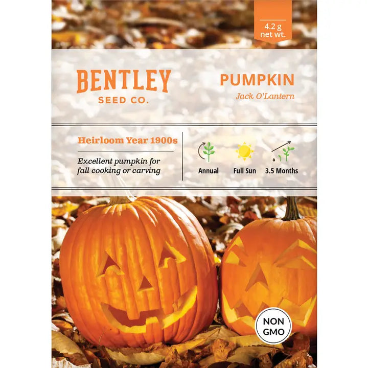 Pumpkin, Jack O'Lantern Seed Packets