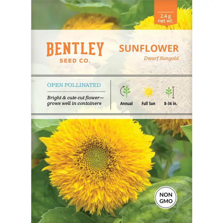 Sunflower-Sungold Dwarf-Helianthus annuus Seed Packet