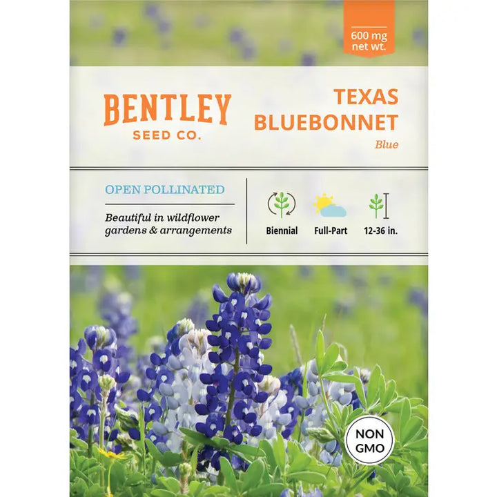 Texas Bluebonnet-Lupinus texensis Seed Packet