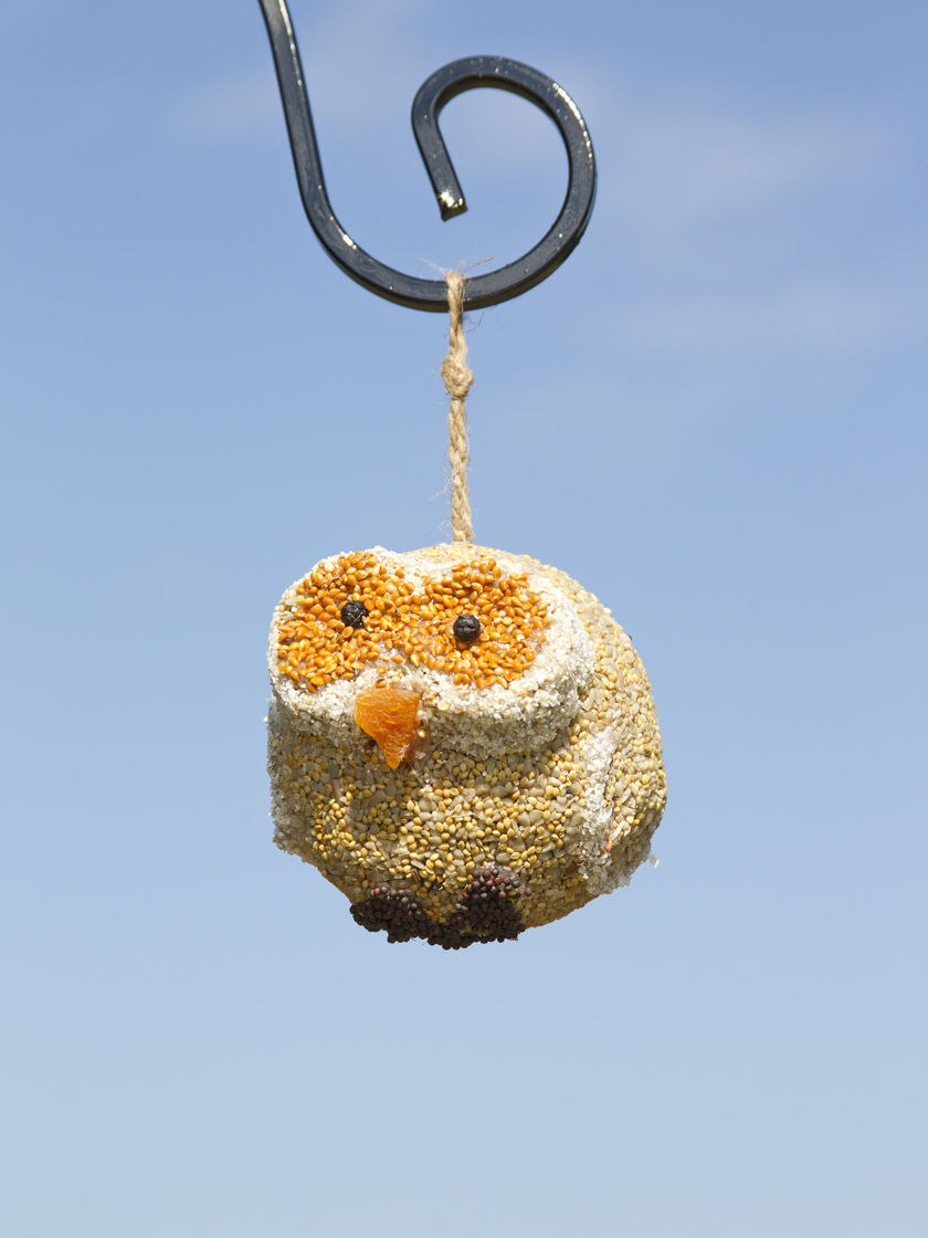 Woodland Friends Owl Bird Food