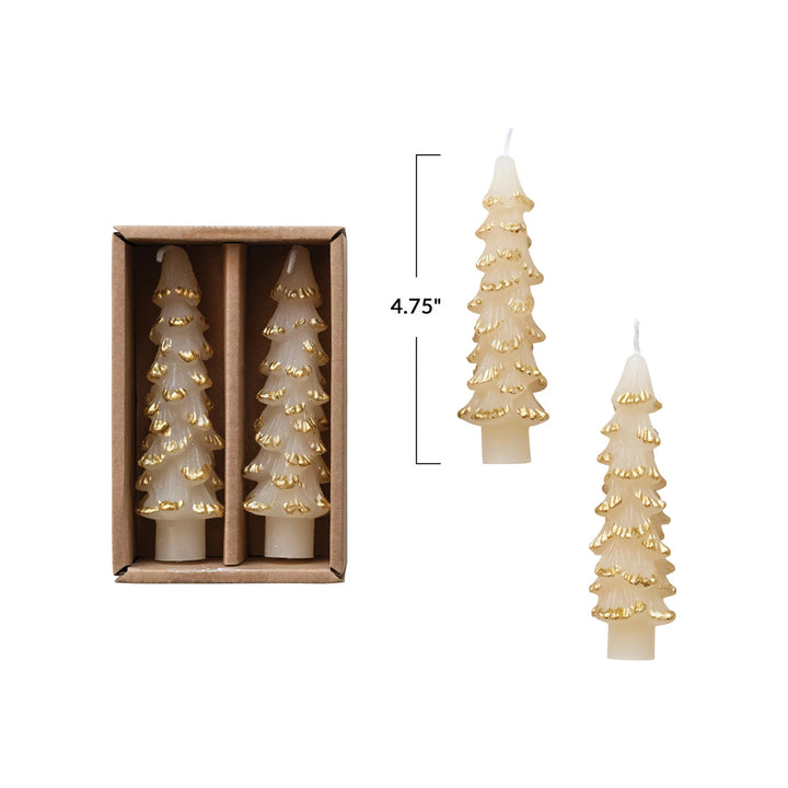 Unscented Tree Shaped Taper Candles w/ Gold Tips in Box, Eggnog Color, Set of 2